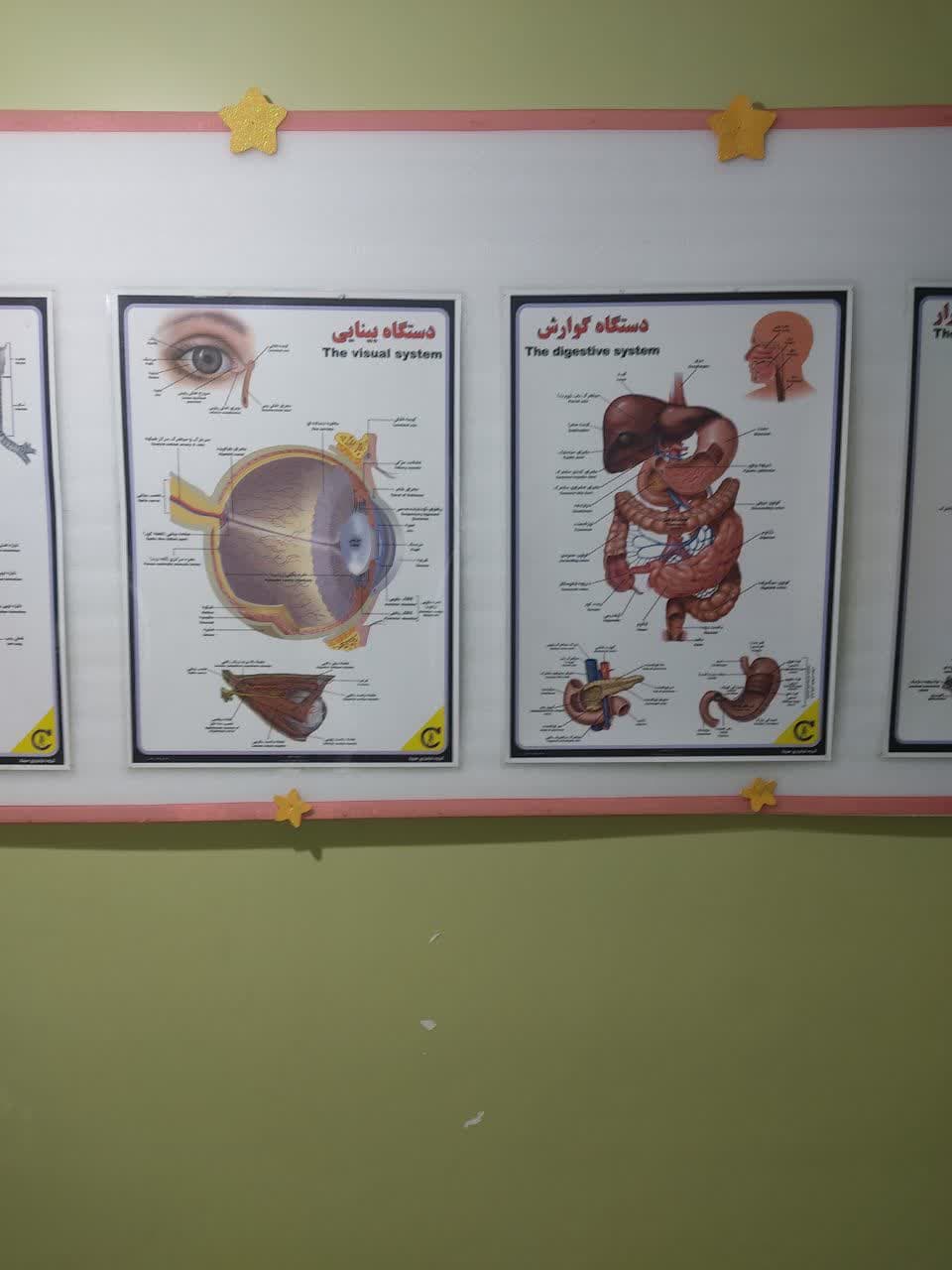 نصب پنل پوسترهای آموزشی دبستان پورسینا